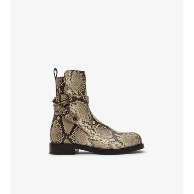 Ledger-Stiefel mit Python-Print