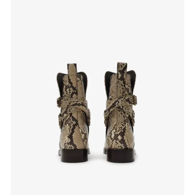 Ledger-Stiefel mit Python-Print