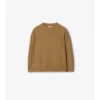 Pullover aus Wolle und Kaschmir mit Karomuster