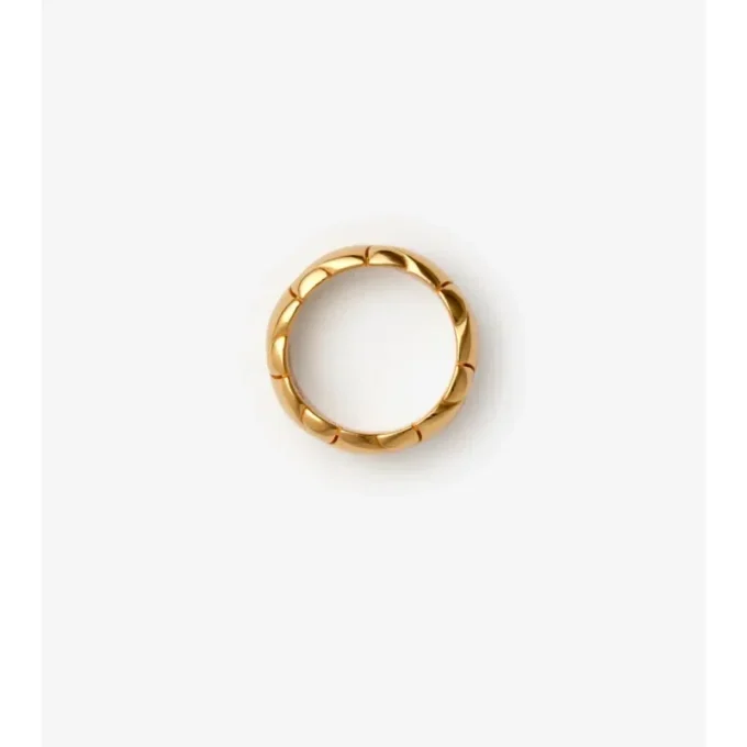 Ring mit Schildsegment