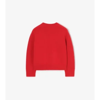 Strassbesetzter EKD-Pullover